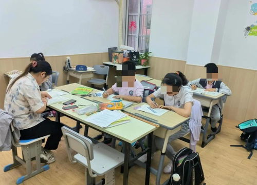 成年人的暑假“回爐” 十萬(wàn)元一對(duì)一托管班背后的教育焦慮與自我重塑